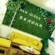 Nhà máy mô phỏng tường ban công trang trí cây xanh tường thảm cỏ giả cỏ xanh giả hoa tường trang trí tường cỏ - Hoa nhân tạo / Cây / Trái cây
