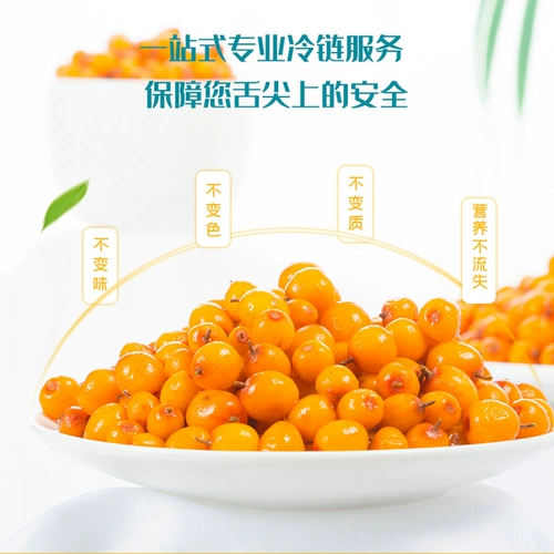 Seabuckthorn Fresh Fruit 6 Catties of Sinjiang Seabuckthorn Frozen Enzyme Squeezing Sandy Thorn Juice Plasam