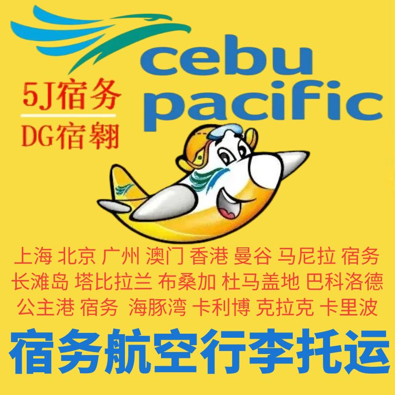 Cebu Airline Baggage Allowance Purchase: Philippine Pacific Cebu Manila Checked Baggage Allowance Ticket