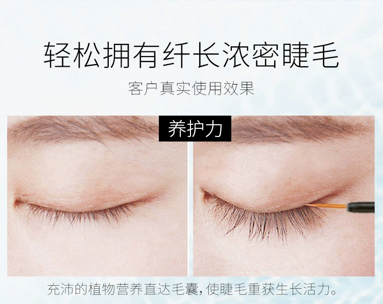 Mascara lông mày trong suốt tăng trưởng chất lỏng nữ sinh viên tự nhiên không màu rập khuôn không thấm nước uốn dày