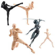 Body Human Body Model Hands Up Fine Art Sketching Comic Drawings Reference Figures People Occasional Toy Pendulum joints movable