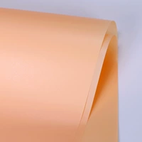 10 кусочков Han Su Paper/Pack [Золотое шампанское]