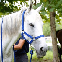 Horse bridle horse bridle harness bridle equestrian supplies Rocky harness 8218001