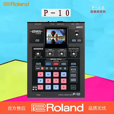 Roland Roland P-10 video sampler picture multimedia insertion machine audio and video special effects Sampler