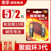 Nanfu alkaline battery 5 hao 7 LR6 dry AA high capacity gold bars beauty instrument mouse and keyboard 2 section PCs wholesale air conditioning TV remote control mouse wall clock