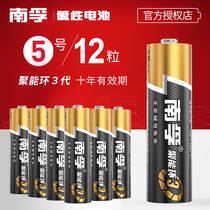 Nanfu No. 5 Alkaline battery No. 5 childrens toy battery wholesale remote control mouse dry battery 12 tablets 12 air conditioning TV microphone remote control car hanging alarm clock small battery 1 5V