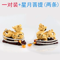 Одна пара + Синъюэ Бодхи