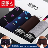 4 mùa thu và mùa đông Nam Cực đồ lót nam boyshort cotton boxer thoáng khí eo quần short thanh niên đầu thủy triều quần jean ống rộng nam