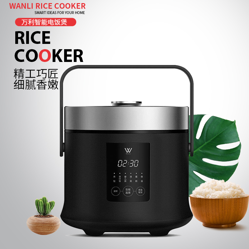 Vanley Japan Electric Rice Cooker Mini Electric Rice Cooker Home Mini Multifunction Portable 1 6L Travel Smart 2 People