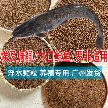 ໜອງປາ egyptian catfish tilapia african crucian carp feed floating puffed granules high protein fresh water fish feed