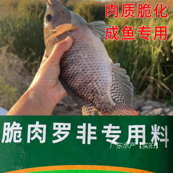 ອາຫານພິເສດ tilapia ຊີ້ນ crispy ສໍາລັບປາຜູ້ໃຫຍ່ທີ່ມີຊີ້ນ crispy ແລະການລ້ຽງປາລອຍນ້ໍາຂະຫນາດໃຫຍ່ອາຫານປາ puffed