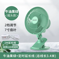 Авокадо зеленый временной модель