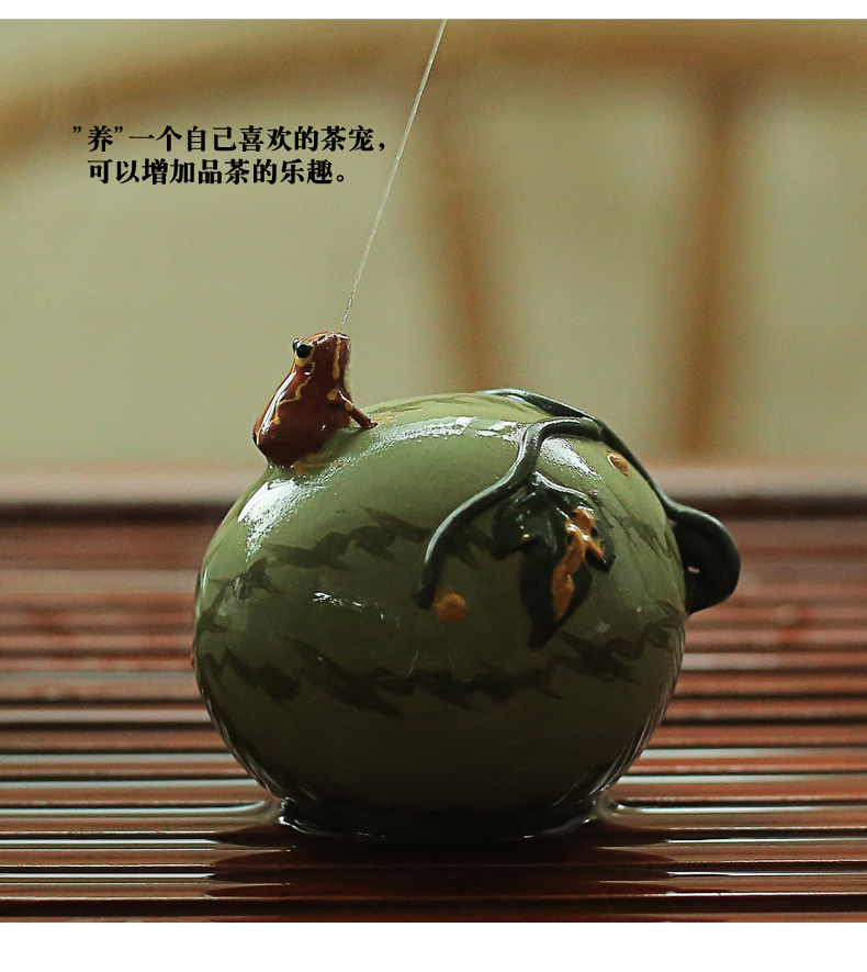 Old &, violet arenaceous water gourd watermelon frog can raise pet manual small place tea tray tea accessories tea play