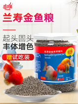 Lanshou goldfish special feed sinking high protein hair head Thai lion fish feed sinking small particles of fish food not muddy water