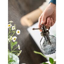 Nordic retro gas pressure garden artist with watering glass small spray pot watering with flower disinfection spray pot with multi-meat watering pot
