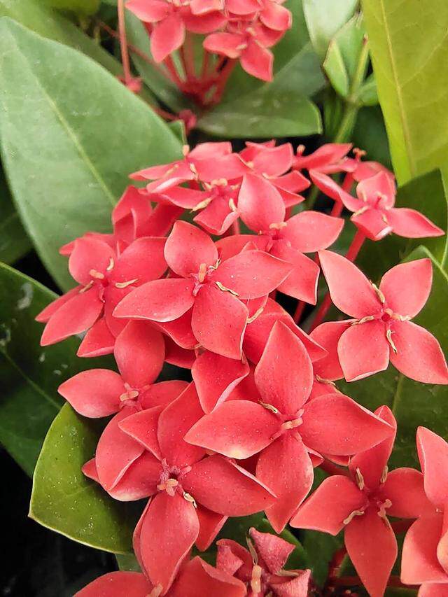 颜值自拍党首选！vivo S5上手评测