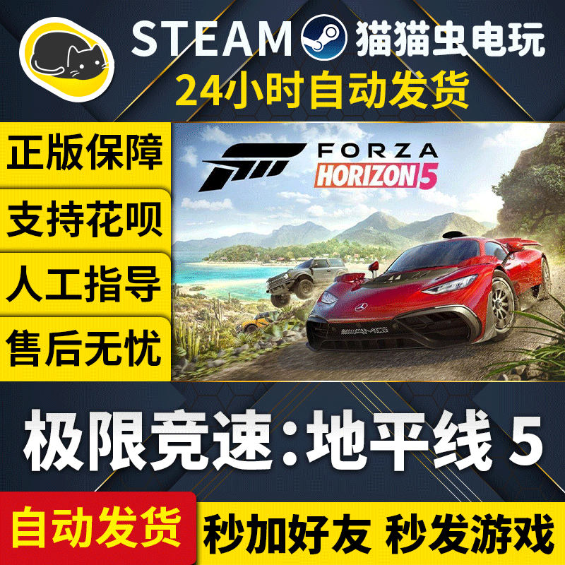 Steam Pc Genuine Chinese Game Forza Horizon 5 Version