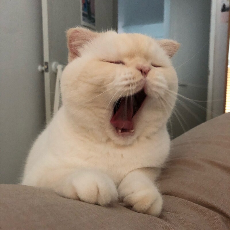 杭晨原料商贸