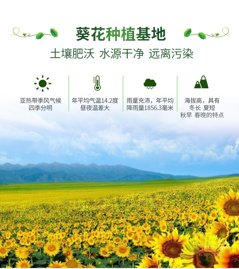 探花村 非转 葵花橄榄食用调和油 5L 图10