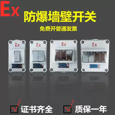 Explosion-proof lighting switch Wall socket Double cut 5 holes 10A 16A 220V Industrial 1 open 2 open 3 open 4 open
