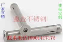 304 stainless steel built-in expansion screw countersunk head hexagon inner expansion Bolt pull M6M8M10 * 60-80