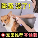 [Не боится облизывать яйца насекомых двойной убийство] собака собачья собака внешние собаки домашние кошка кошка в нице пестициды брызги