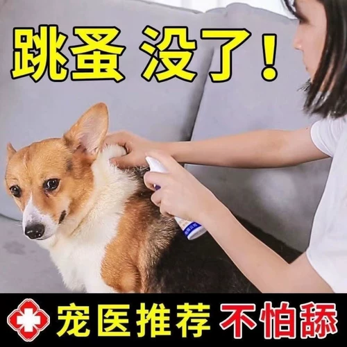 [Не боится облизывать яйца насекомых двойной убийство] собака собачья собака внешние собаки домашние кошка кошка в нице пестициды брызги