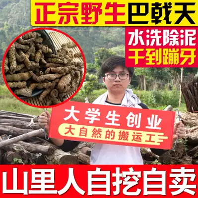 Guangdong Parhalberd Amano 500g male wine powder male nourishing Cynomorium Cistanche