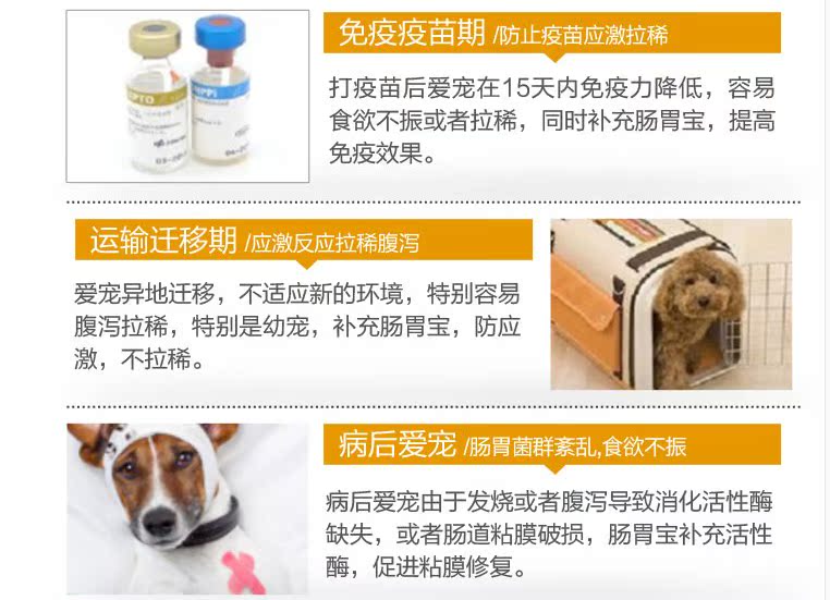 Thú cưng nhỏ tiêu hóa men tiêu hóa men vi sinh 10 bao bì điều hòa viêm dạ dày ruột tiêu chảy tiêu chảy sản phẩm vật nuôi mèo sữa bio cho mèo