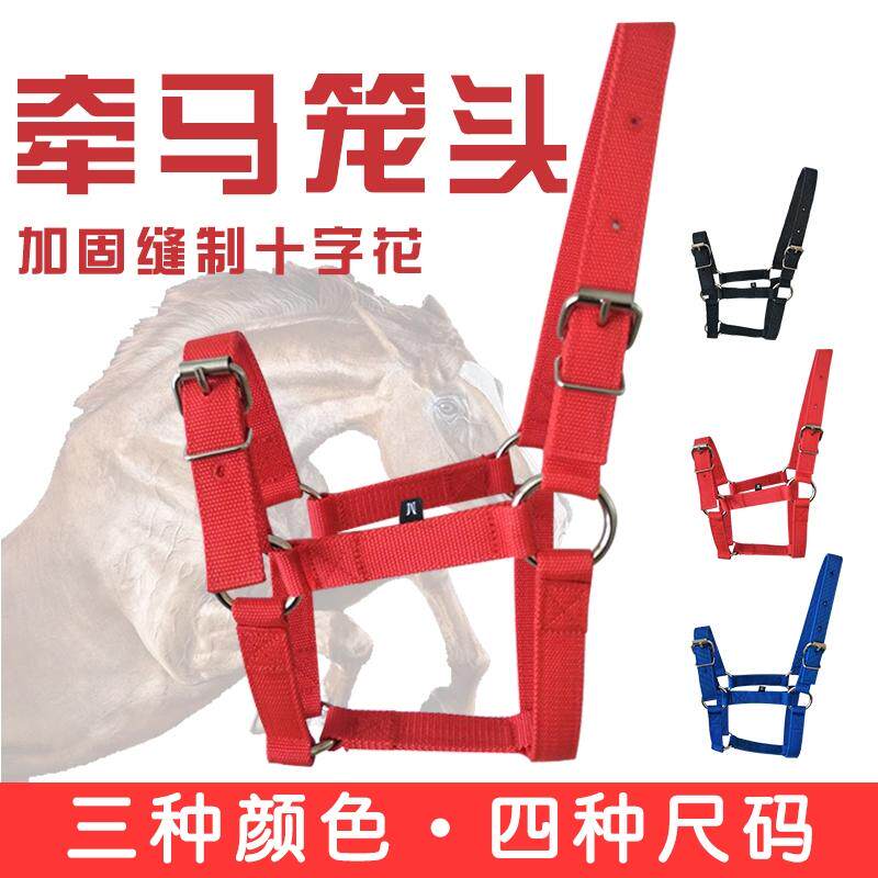 Cow blue horse dragon head black and red hand-thickened dragon set harness anti-wear horse cage set pony horse cage head captive horse head cover