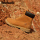 Timberland Timberland rhubarb boots мужская обувь, ботинки на открытом воздухе, неплохие ботинки Martin, мужская походная обувь с высоким берцем mini 4