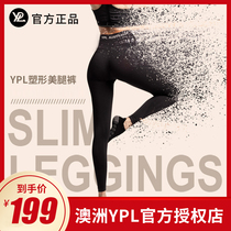 Australian YPL light speed fat-burning cat step thin leg pants dog body fitness hip leg leggings official