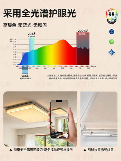 Tokyo Andaz Ji Yutang Living Room Ceiling Light Designer Bauhaus High-End Vintage Style Living Room Main Lighting Fixture