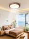 Bladeless Fan Lamp, Vintage Invisible Variable Frequency Fan, 2026 New Model, Creative Eye-Protecting Ceiling Lamp, Master Bedroom Room Lamp