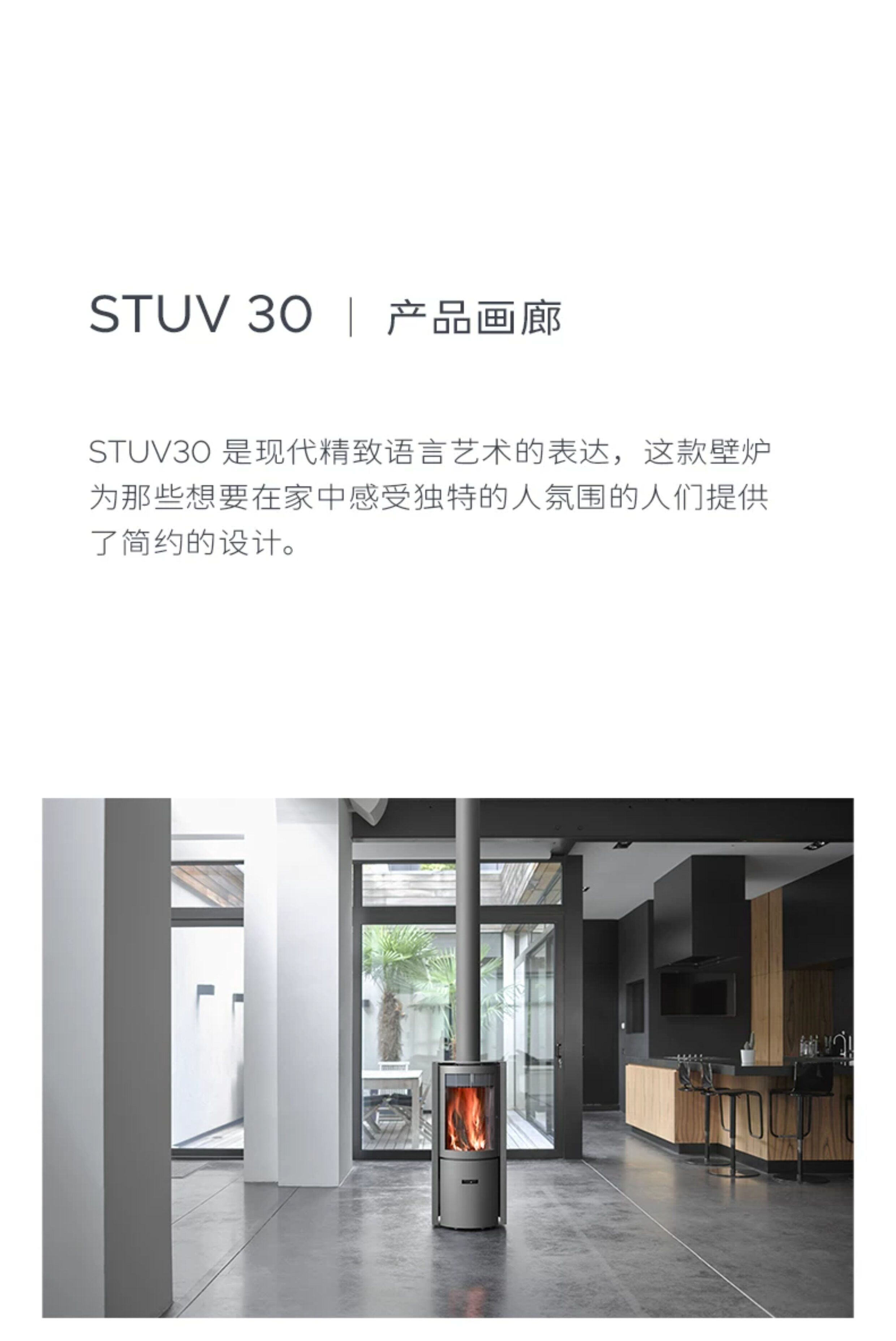 Stûv 30 Chimenea de leña, empotrable — Detalles del producto 11