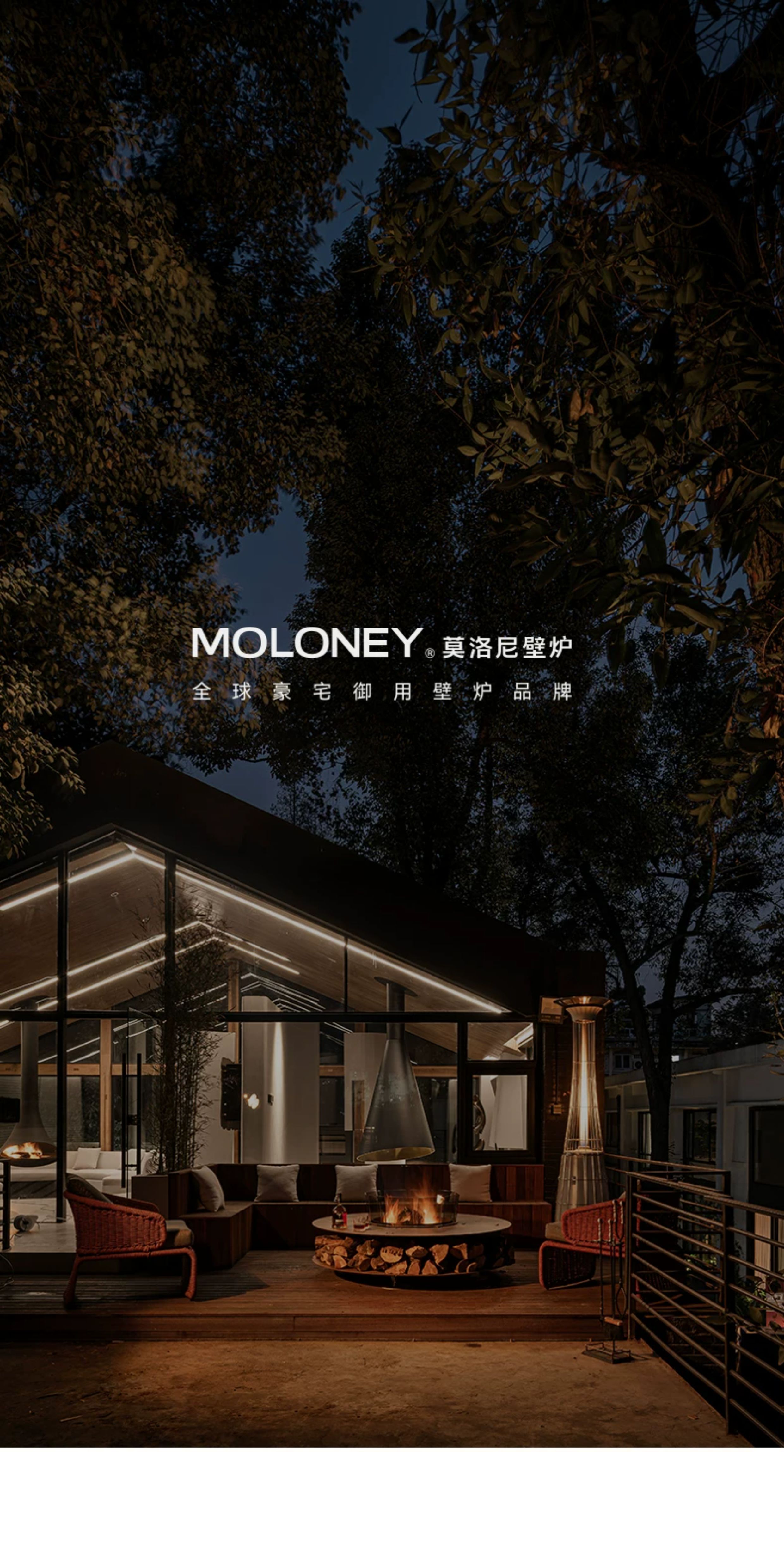 Moloney View 150 Chimenea de vapor de agua — Detalles del producto 1