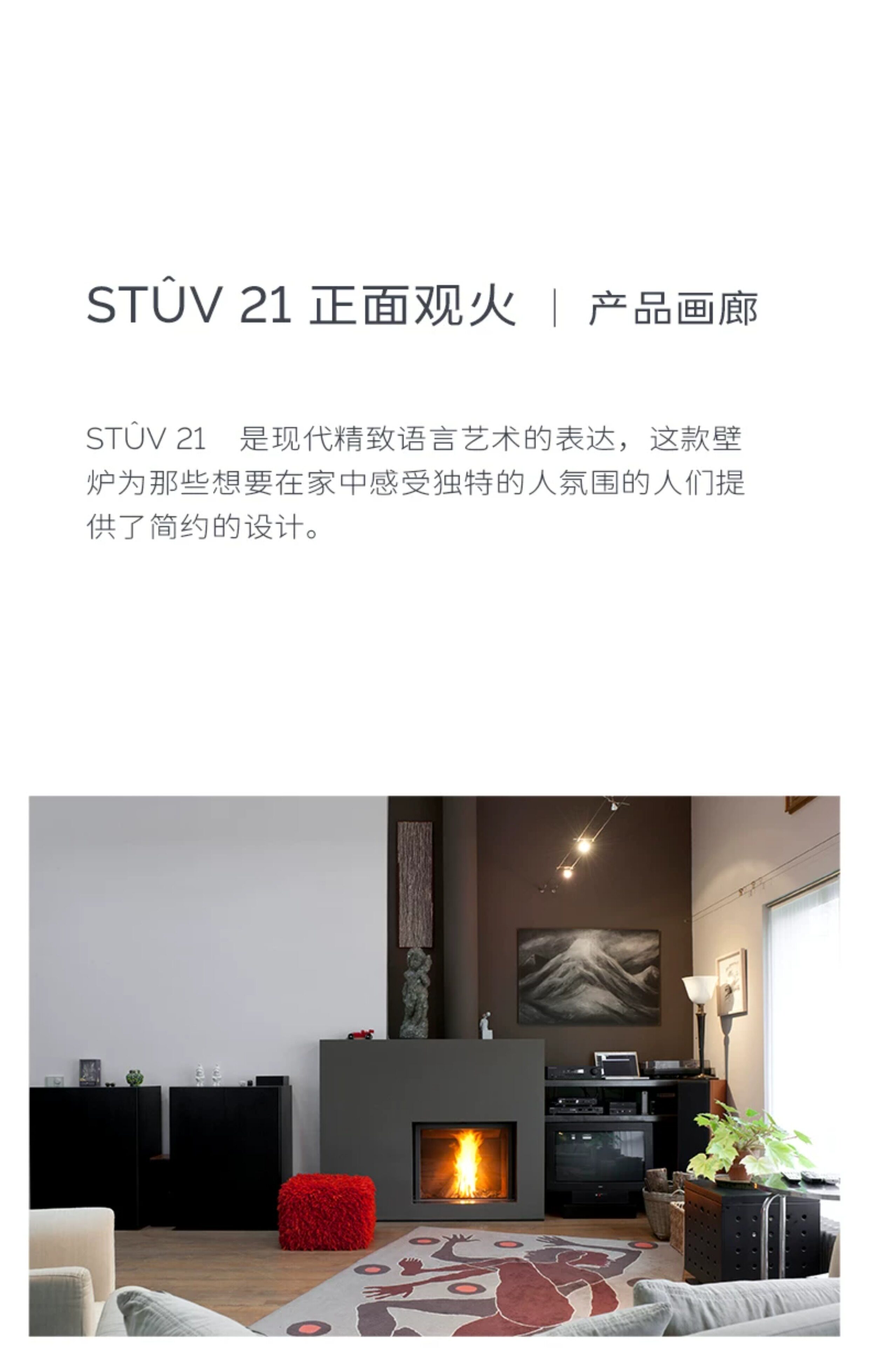 Stûv 21 Chimenea de leña, empotrable, de una cara — Detalles del producto 11