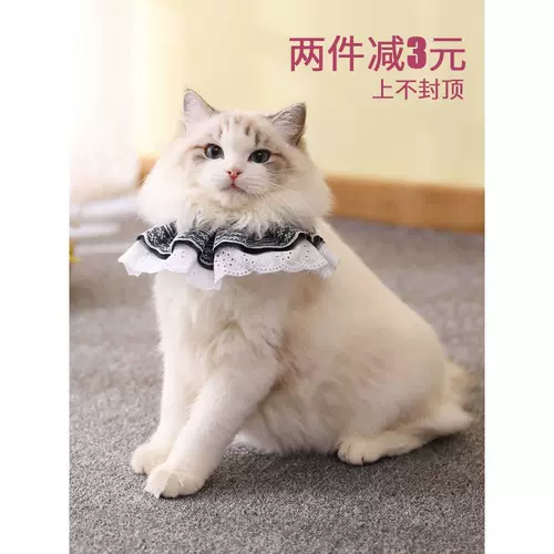 Кружевной воротник, нагрудник, слюнявчик, аксессуар, милый шарф