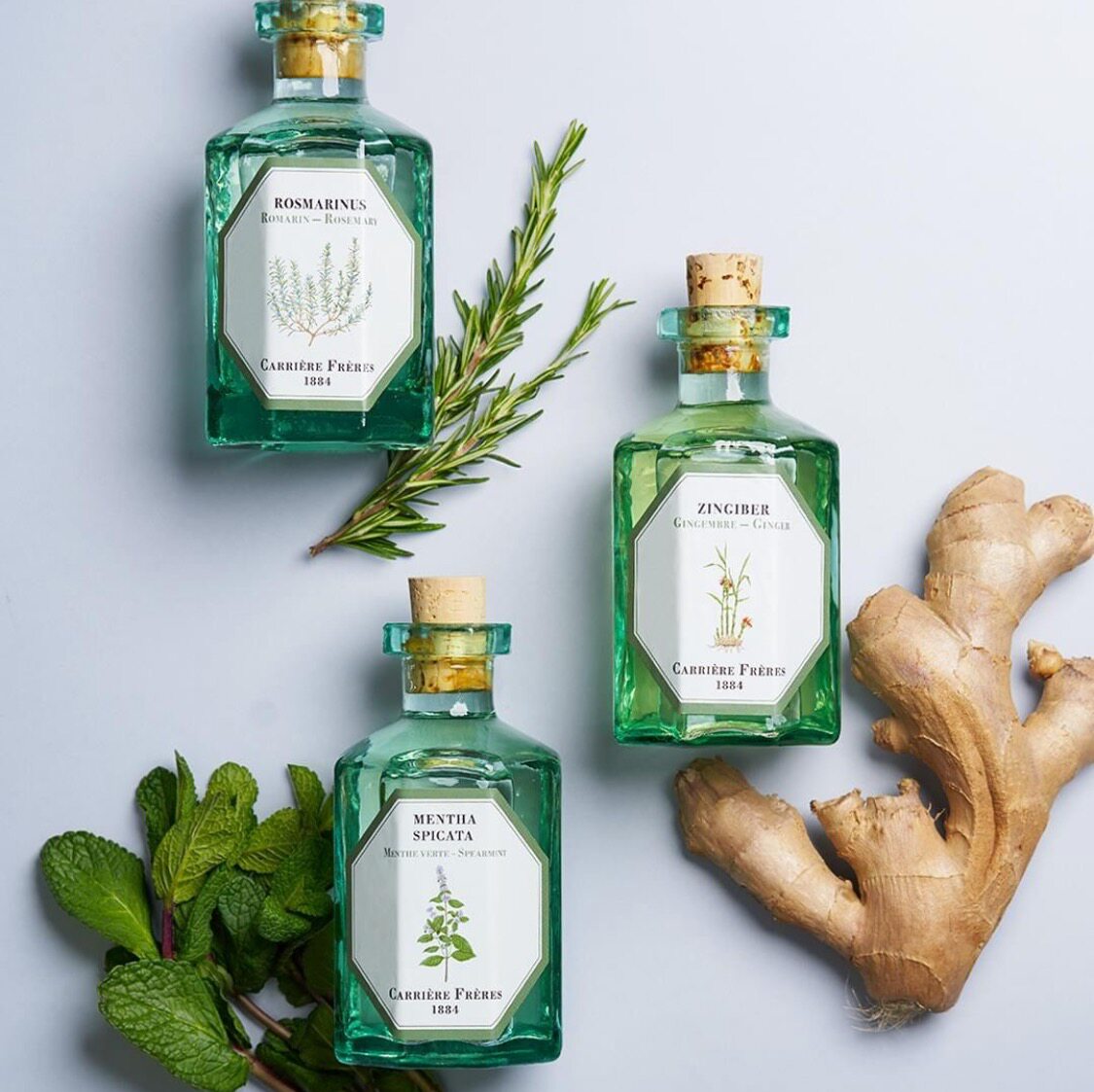 Carriere Fréres France imports the official authorized botanists without fire incense in the chamber to expand the essential oils