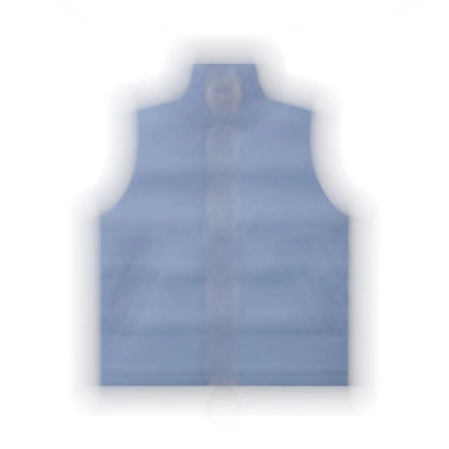 thumbnail for Rick's original down vest