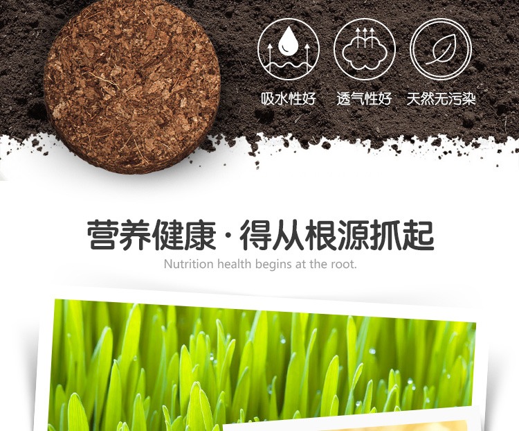 Bộ trồng cỏ mèo của ông Demi, cỏ mèo thủy canh, cỏ mèo, đất, mèo, bạc hà, mèo, snack, chó lông, cỏ - Đồ ăn nhẹ cho mèo thịt hộp