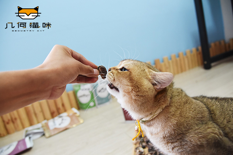 Trung Quốc NaturelClair cũng là đồ ăn nhẹ cho mèo khô đông nguyên con 50g [khoảng 36] - Đồ ăn nhẹ cho mèo cám royal canin