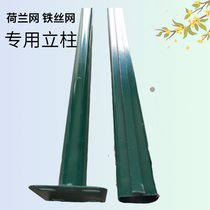 Dutch net column Dovetail column Barbed wire fence column Chicken net Green plastic coated iron column Protective net railing