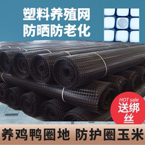 Plastic mesh protective net Breeding net Fence isolation net Chicken and duck manure leakage net Fence net circle corn net around fish pond