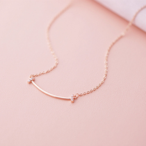 Simple scenery small fortune small lucky choker light luxury minority design necklace female students commuting temperament