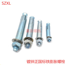 GB22795 National standard blue and white color zinc expansion bolt iron screw pull explosion expansion bolt M8M10M12M14M16M20