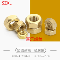 German standard DIN934 hexagonal copper nut H56 copper screw nut M14M16M18M20 Hexagonal bolt cap