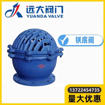 Hebei Yuanda Valve H42X-2 5 6 cast iron flange bottom valve DN50-500 water pump shower head check