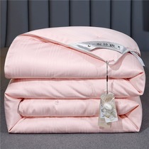 High-end light luxury silk quilt 100 mulberry silk four-season quilt core spring and autumn quilt mother quilt warm and thickened winter quilt