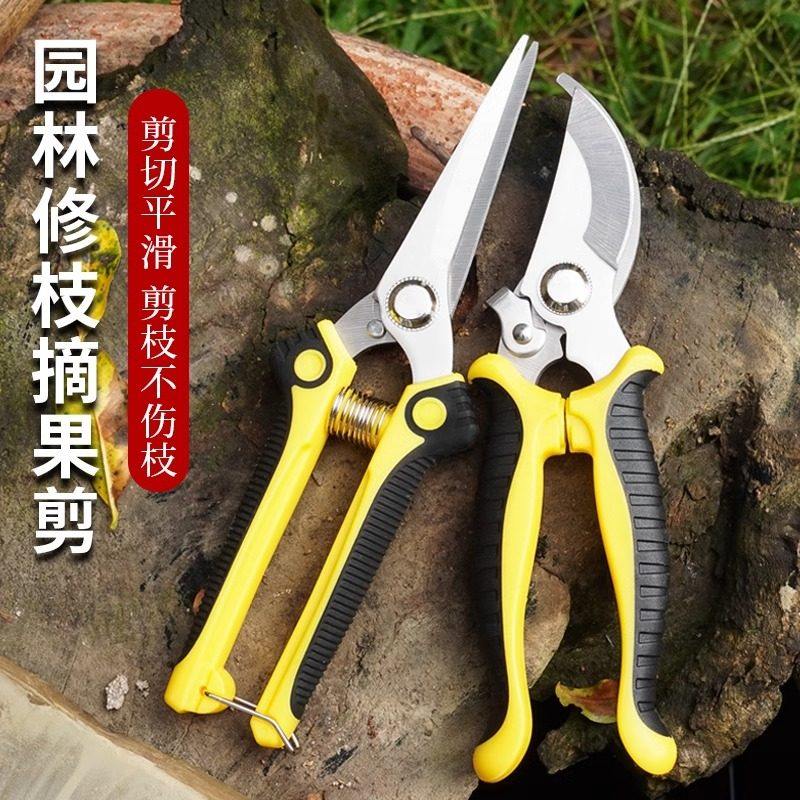 Garden Pruning Shears, Flower Shears, Gardening Scissors, Floral Scissors, Branch Shears, Fruit Tree Scissors, Branch Pruners, Flower Pruning Scissors